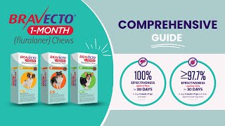 Bravecto 1Month Chew Your Ultimate Guide for a Healthy Pet [upl. by Anallij]