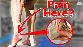 5 BEST Peroneal Tendinopathy Rehab Exercises [upl. by Necaj75]