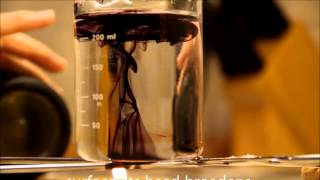 Endo Youtube Challenge 2013  Convection [upl. by Monjo]