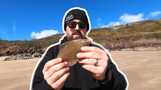 West Wales  Shore Fishing For Pembrokeshire Plaice amp Dabs From The Beach [upl. by Durware516]