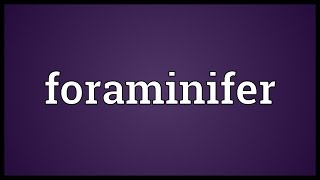 Foraminifer Meaning [upl. by Eilrac]