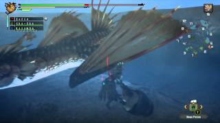 MH3U  Moga Village 7 Star Unlock quotSplash Damagequot Urgent Quest [upl. by Boote619]