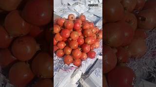 Today fruits rates 😍😋  Edhi Yaaparam  Pavan Kumar Undamatla [upl. by Thgiled685]