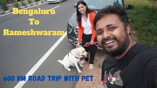 Ep1 Bengaluru to Rameshwaram  600 KM Road trip with Pet 🐶🚘 roadtrip newplace [upl. by Aizitel353]