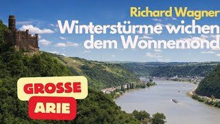 Winterstürme wichen dem Wonnemond aus Die Walküre von Richard Wagner Gesungen von Plácido Domingo [upl. by Yblehs]