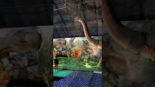 Dinosaur park gurugram [upl. by Elehcim]