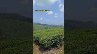 travel tealeafillayarajasonggodsowncountryvandiperiyar [upl. by Suedaht]