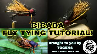 Cicada  Fly Tying Tutorial [upl. by Edorej]