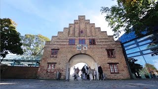 Flensburg  Zwischen Himmel und Förde  Tourismus [upl. by Winikka]