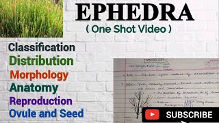 Ephedra Morphology Anatomy Reproduction Gymnosperm Ephedra Notes Ephedra mscbotany [upl. by Naihtsirc]