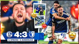 UNFASSBAR 😨😍 Schalke vs Magdeburg STADION VLOG 🏟️ [upl. by Joleen]