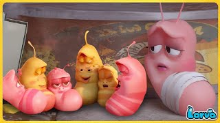 LARVA  CHILDREN  CARTOON MOVIE FOR LIFE THE BEST OF CARTOON  HILARIOUS CARTOON COMPILATION 2024 [upl. by Esinnej350]