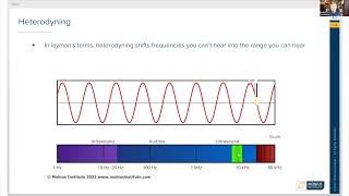 A Brief Introduction to Heterodyning [upl. by Aninay]