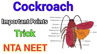 Cockroach Periplaneta Americana  Important points for NTA NEET  TrickMnemonic [upl. by Iduj]