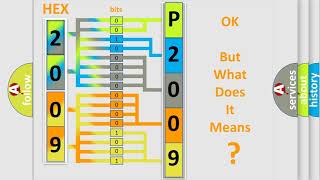 DTC MercedesBenz P2009 Short Explanation [upl. by Marshall]