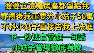 婆婆立遺囑房產都留給我，葬禮後我正要分小姑子50萬，不料小姑子直接告我上法庭，下一秒法官當庭一句話，小姑子當場徹底嚇傻  柳梦微语 [upl. by Chap]