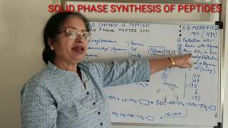 SOLID PHASE PEPTIDE SYNTHESIS [upl. by Mellar]