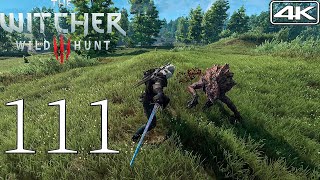 The Witcher 3 4K Modded Walkthrough Part 111  The Apiarian Phantom Deathmarch [upl. by Siron]