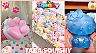 🩷✨ NEW Taba Squishy ASMR  TikTok Compilation 11 🩷✨ [upl. by Jorrie]