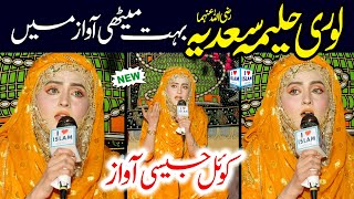 Bankian chalan walia  Sajida Muneer  New Lori Halima sadia  Naat Sharif  i Love islam [upl. by Nonnac]