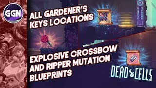 Gardener’s key locations  Explosive Crossbow and secret Ripper blueprint  Dead Cells [upl. by Heidy]