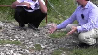 Day 2 Wallerstein Castle  spring mound carbonatestraverines and stromatolites [upl. by Silloc]