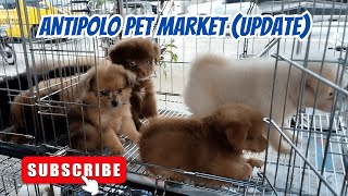 Antipolo Pet Market  Update [upl. by Timus]