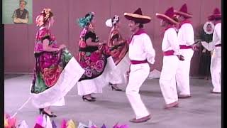 La zandunga con pasos básicos Baile folcklorico de Oaxaca México [upl. by Delaine908]