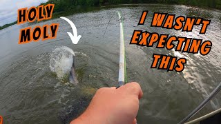 Finding TROPHY Catfish in the Spawn  New PB  River Fishing [upl. by Inilam222]