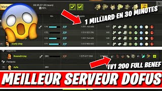 DOFUS PRÉSENTATION SERVEUR HÉROÏQUE THANATENA [upl. by Deborah269]