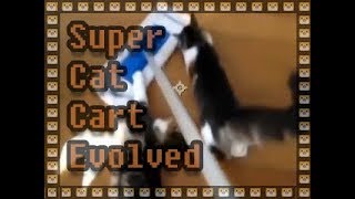 Try Not To Laugh ✩ Funny Cats 🐈 😺🐯 28 ✩ Super Cat Cart Evolved [upl. by Chemush]