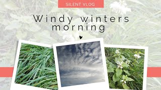 COSY winter morning windy day  baking  Relaxing morning  Silent Vlog [upl. by Diandre]