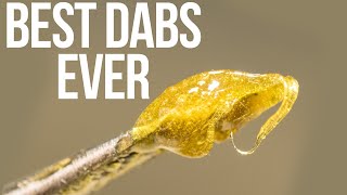 HOW TO MAKE THE BEST TASTING DABS EVER [upl. by Notneiuq272]