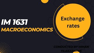 Macroeconomics exchange rate lessonpart 2 [upl. by Nnylsia]