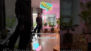 FINLAND  Winter is coming We’re moving all our plants indoors [upl. by Lester817]