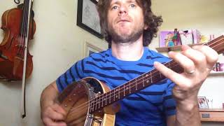 The Ladies Pantalettes Reel Irish Tenor Banjo Music  Shane Farrell [upl. by Perkin516]