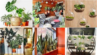 29 Indoor Plants You MUST Add to Your Home This Year [upl. by Mikahs]