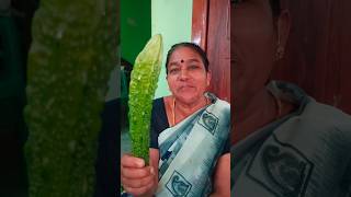 PAVAKKAI THOKKU 🥣💫 namsamayalarai cooking cookingfood recipe tamilculturefoods [upl. by Anala]