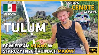 MEKSYK 🇲🇽 2  TULUM  🏛 ruiny miasta Majów iguany 🦎 i kąpiel 🌊 w Cenote CALAVERA 💀 méxico [upl. by Asirret]