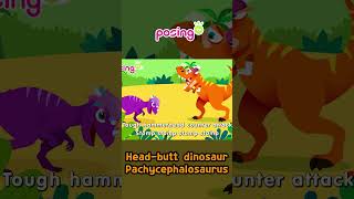 😵‍💫Headbutt dinosaur Pachycephalosaurus  Dinosaurus Songs  posingTV shorts [upl. by Sukramed]