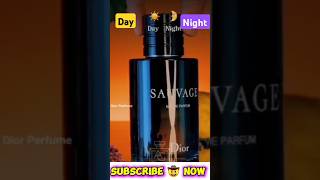 I Day Night 🌉 Sauvage I By Owais Osman l 2024 l [upl. by Ysied]