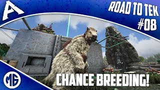 BASE PLANS AND CHANCE BREEDING DINOS Road to Tek Official PvP Ep 8  Ark Survival Evolved [upl. by London]