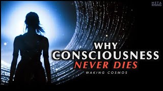 Why Consciousness is Immortal  The Philosophical Proof of Life After Death [upl. by Atiuqcaj29]