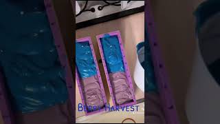 Berry Harvest coldprocesssoapmaking soap  soapmakingprocess soapcutting [upl. by Akinak]