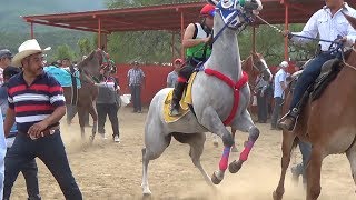 CARRERAS DE CABALLOSFINAL FUTURITY LA LUMBRE [upl. by Cran]