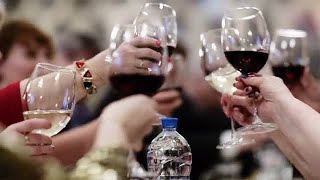 Wine Toasting In A Party Stock Video [upl. by Nitfa]