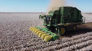 2024 Cotton Harvest in Cone Texas USA [upl. by Juetta]