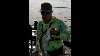 Stout Slabs are Biting at Ross Barnett  1122024 [upl. by Newel]