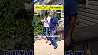 అమెరికా లో చాలా పెద్ద Home Garden  Indian vegetable garden in USA 🇺🇸 Telugu [upl. by Leta920]