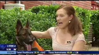 Woman service dog turned away at McKinney Albertsons [upl. by Michaeline]